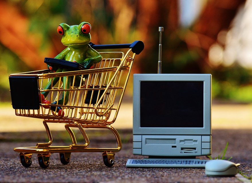 חנות, קניות, מחשב, צפרדע, קנייה ברשת
