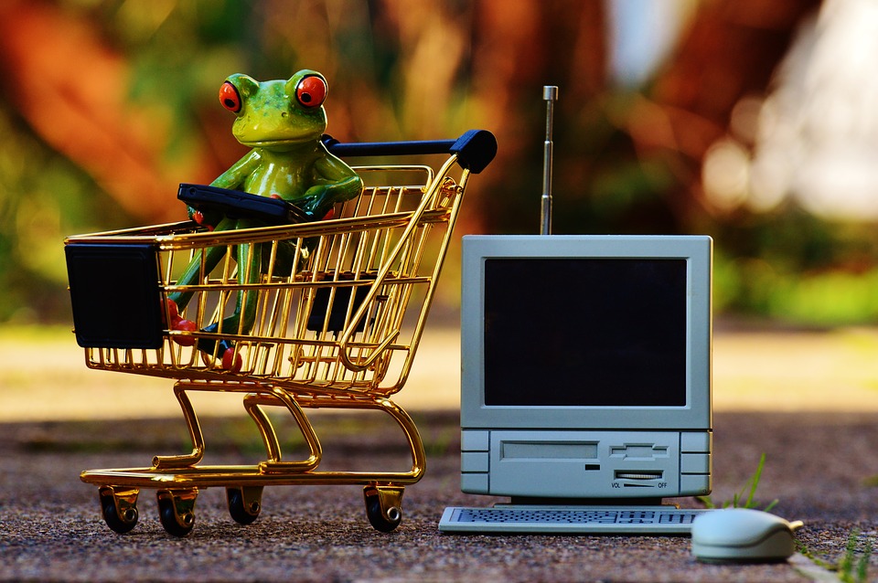 עושים קניות ברשת? כיצד לשמור על בטיחות התשלום